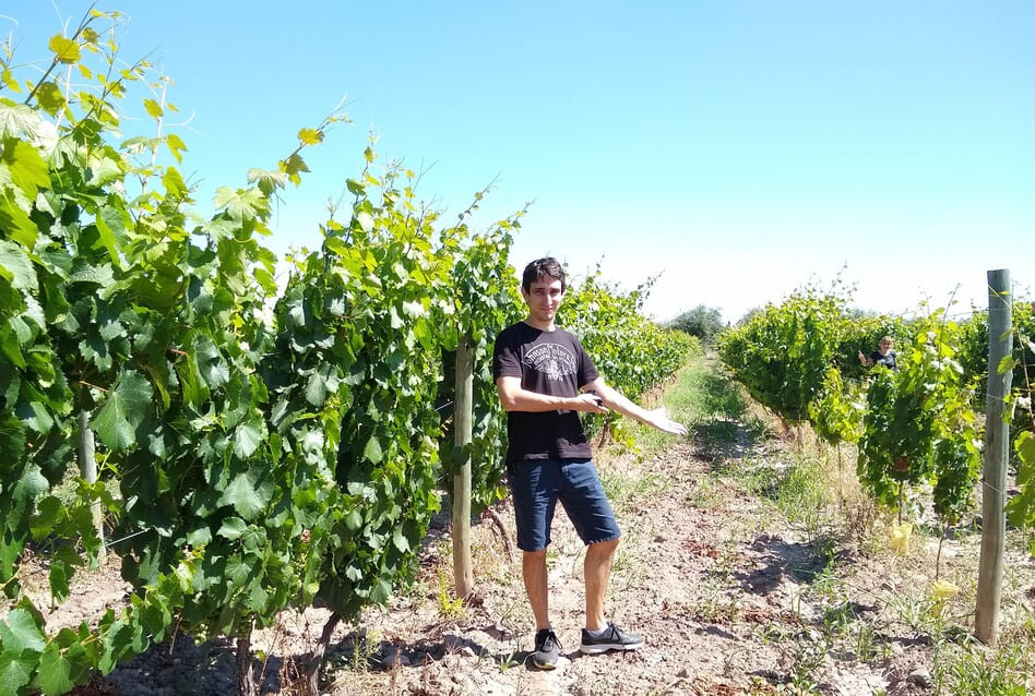 dueño cava don alexis